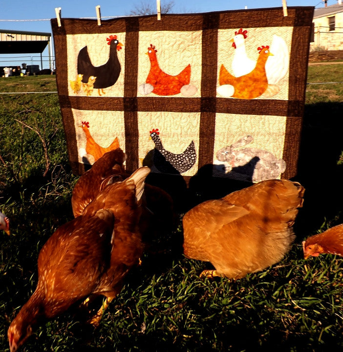 The chickens are ready are you?