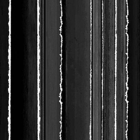 Heartscapes - Stripe Aholic black/white By Paula Nadelstern 13145-12