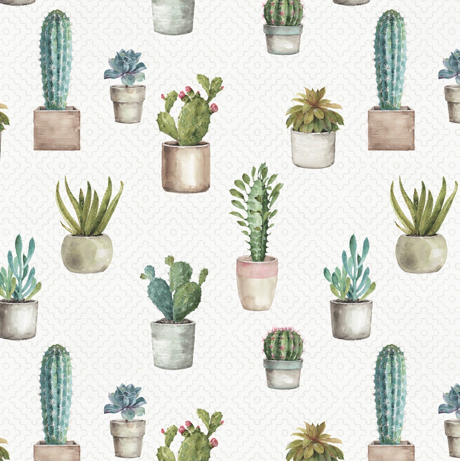cactus succulent fabric Natural Cactus Verde