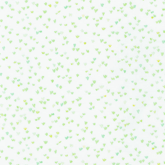 Grass