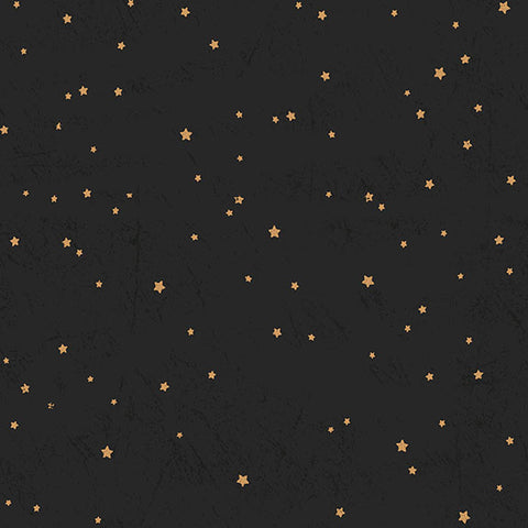 Living the Dream Starry Sky Y3443-3 Black by Clothworks