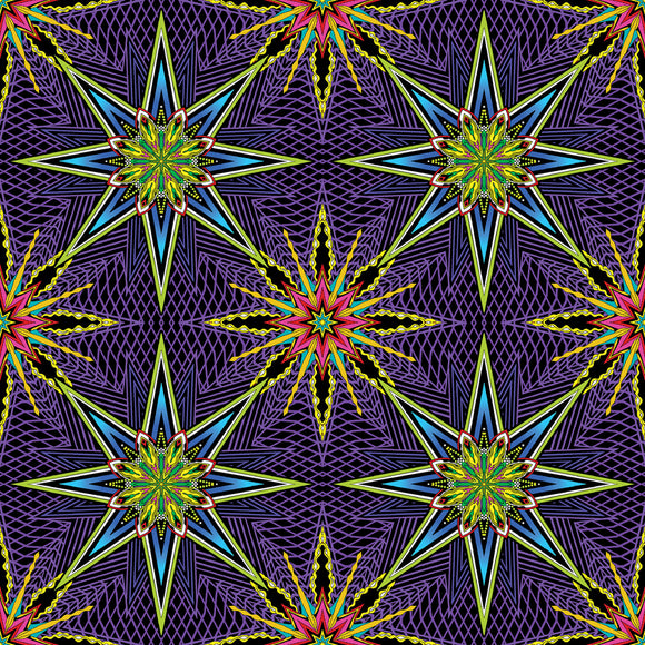 What If by Paula Nadelstern, Prima Donna, Radio Star, 16253-66, purple/multi, sold in 1/2 yard increments