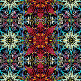 Paula Nadelstern's Thirty One Wingspan Electric Lace Red/Multi # 16561B-10,  sold in 1/2 yard increments