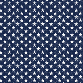 Navy Usa Patriotic Stars