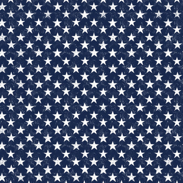 Navy Usa Patriotic Stars  Fabric - StoryQuilts.com