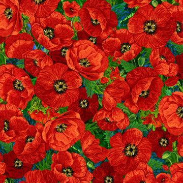 Red Large Poppy # CD3221-RED,  sold in 1/2 yard increments  Fabric - StoryQuilts.com