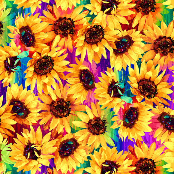 Multi Packed Sunflowers # CD3303-MULTI