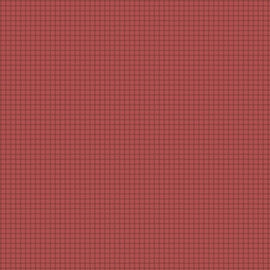 Rebeka's Basics - Check Pink