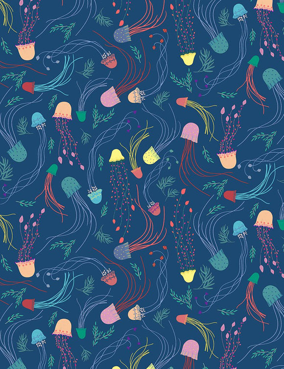 OCTOPIED STELLA-D2097  NAVY