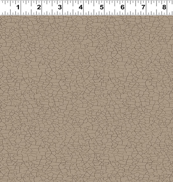 Taupe Explore Crackle Y4303-62
