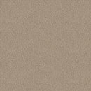 Taupe Explore Crackle Y4303-62-1