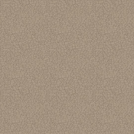 Taupe Explore Crackle Y4303-62
