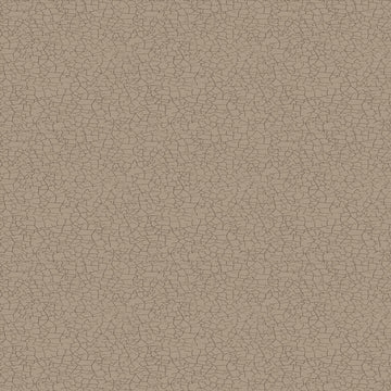 Taupe Explore Crackle Y4303-62  Fabric - StoryQuilts.com