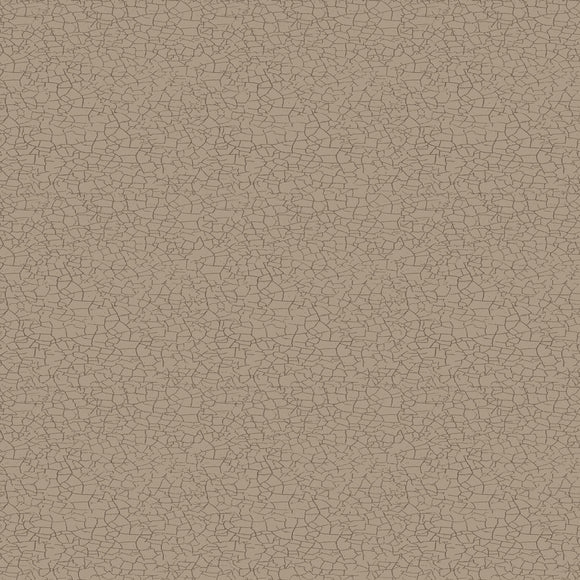 Taupe Explore Crackle Y4303-62