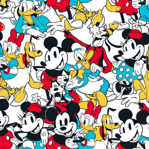 Disney Mickey & Friends Sensational 6 Snapshot