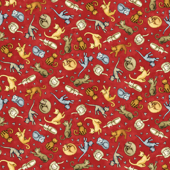 Red Tossed Cats by Beth Logan  9905-88