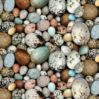 Birdwatching Eggs Multi  Fabric - StoryQuilts.com