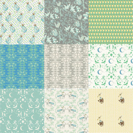 Boys Sweet Baby 1/2 Yard Bundle