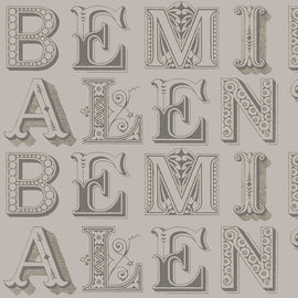 Be Mine Valentine Love Letters Gray  1/2 yard cut