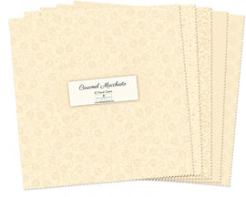 10 in Squares  Caramel Macchiato 42 pcs per bundle