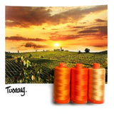 Color Builder 3pc Set Tuscany Orange  Thread - StoryQuilts.com