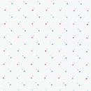 2-1/2in Strips A Little Rain White 40pcs/bundle-2