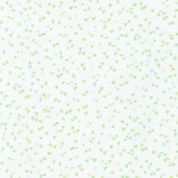 Grass