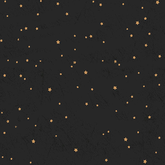 Living the Dream Starry Sky Y3443-3 Black by Clothworks