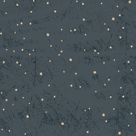 Living the Dream Starry Sky Y3443-89 Dark Denim by Clothworks